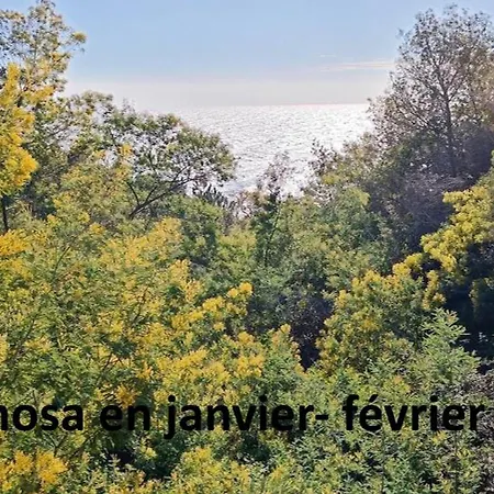 Fleur De Sel 55m2, Terrasse, Jardin, Pieds Dans L'eau, 4 Pers Apartmán
