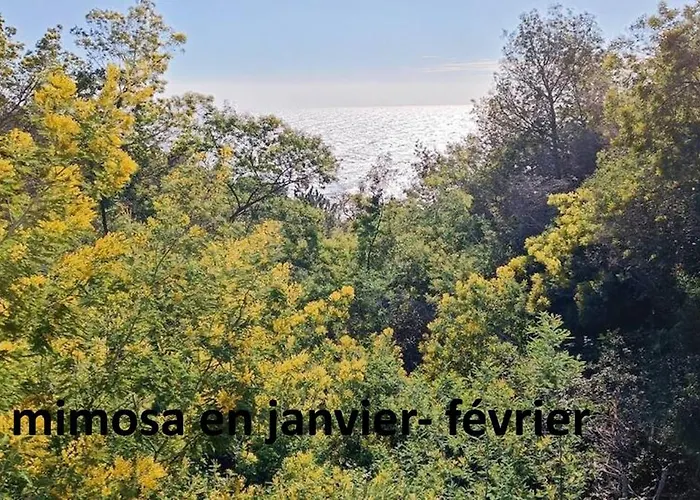 Fleur De Sel 55m2, Terrasse, Jardin, Pieds Dans L'eau, 4 Pers Lejlighed