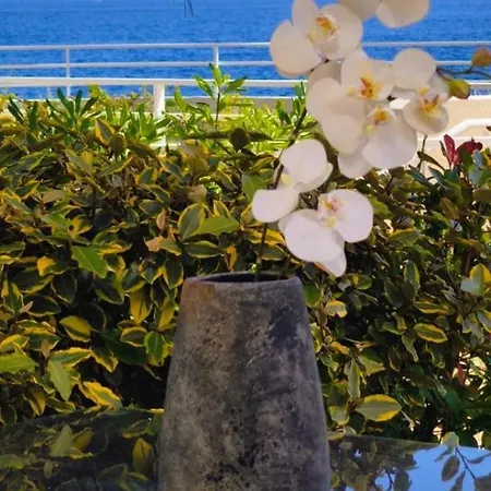 Cap Nérée, Fleur De Sel 55m2, 2 Chambres, Terrasse, Jardin, Pieds Dans L'eau, 4 Pers *