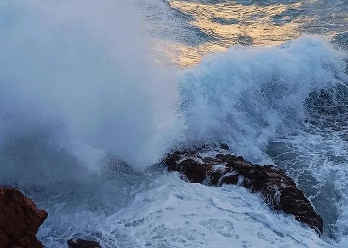 公寓 Fleur De Sel 55m2, Terrasse, Jardin, Pieds Dans L'eau, 4 Pers Saint-Raphaël