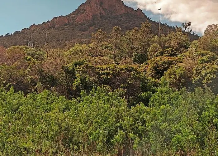 Fleur De Sel 55m2, Terrasse, Jardin, Pieds Dans L'eau, 4 Pers * Saint-Raphaël